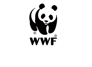 Panda Brand Film