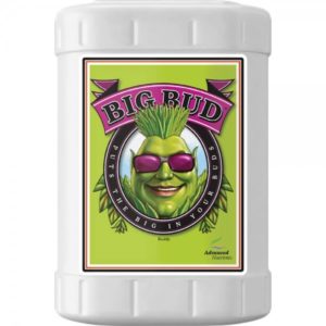 Big Bud Powder 500 gr