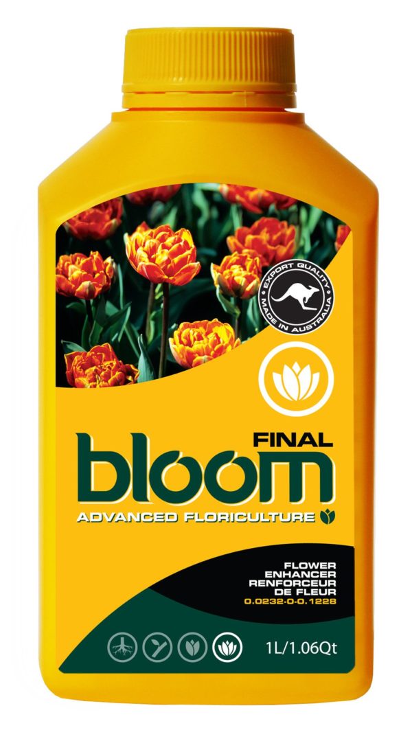 Bloom Final 2.5L
