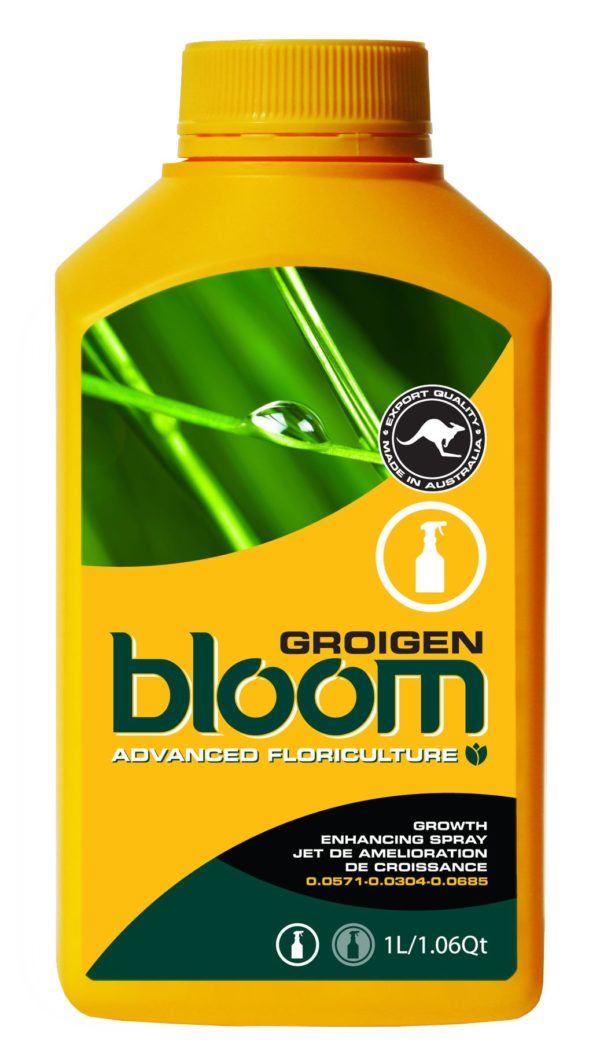 Bloom Groigen 2.5L