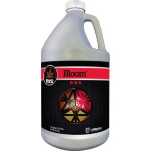 Bloom Gallon