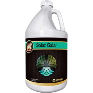 Solar Gaia Gal