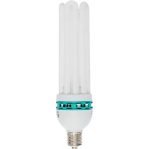 Bulb Comp FL Cool 125W 6500K (20/cs)