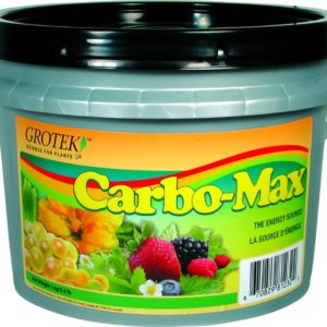 Carbo Max 100 g