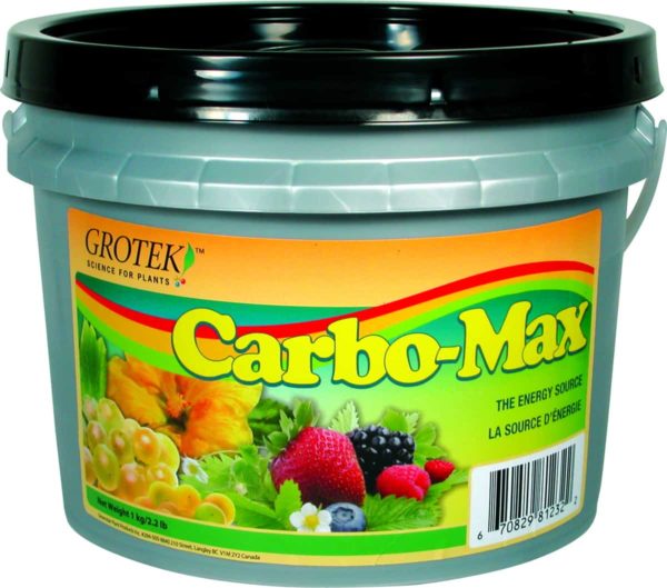 Carbo Max 100 g