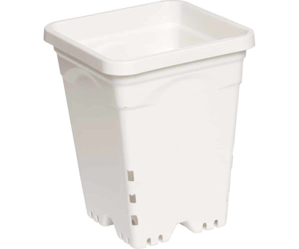 7"x7" Square White Pot, 9" Tall, 50 per case