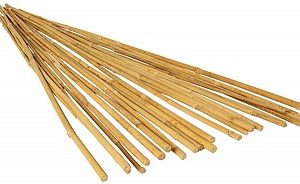 GROW!T 4' Bamboo Stakes, pack of 25