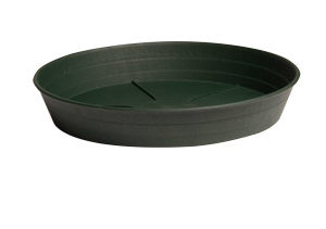 Green Premium Saucer 10", pack of 25