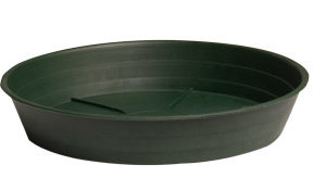 Green Premium Saucer 16", pack of 10