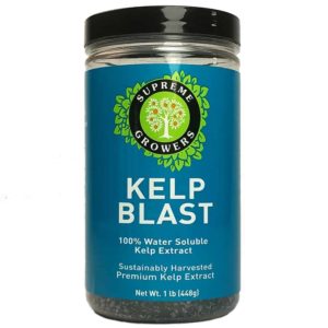 Kelp Blast, 1 lb