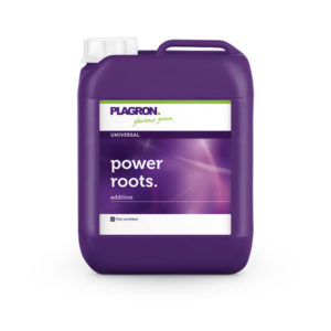 Power Roots 500 ml