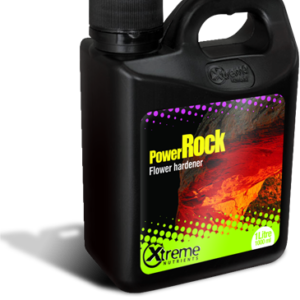 Power Rock 16 oz