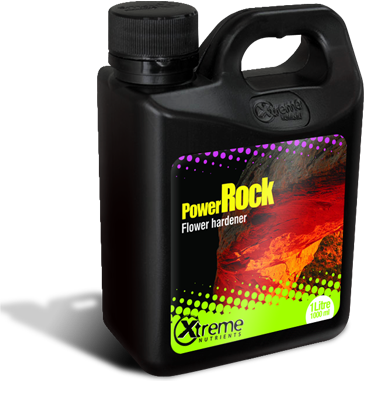 Power Rock 16 oz
