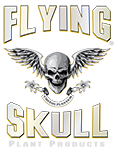 Flying Skull