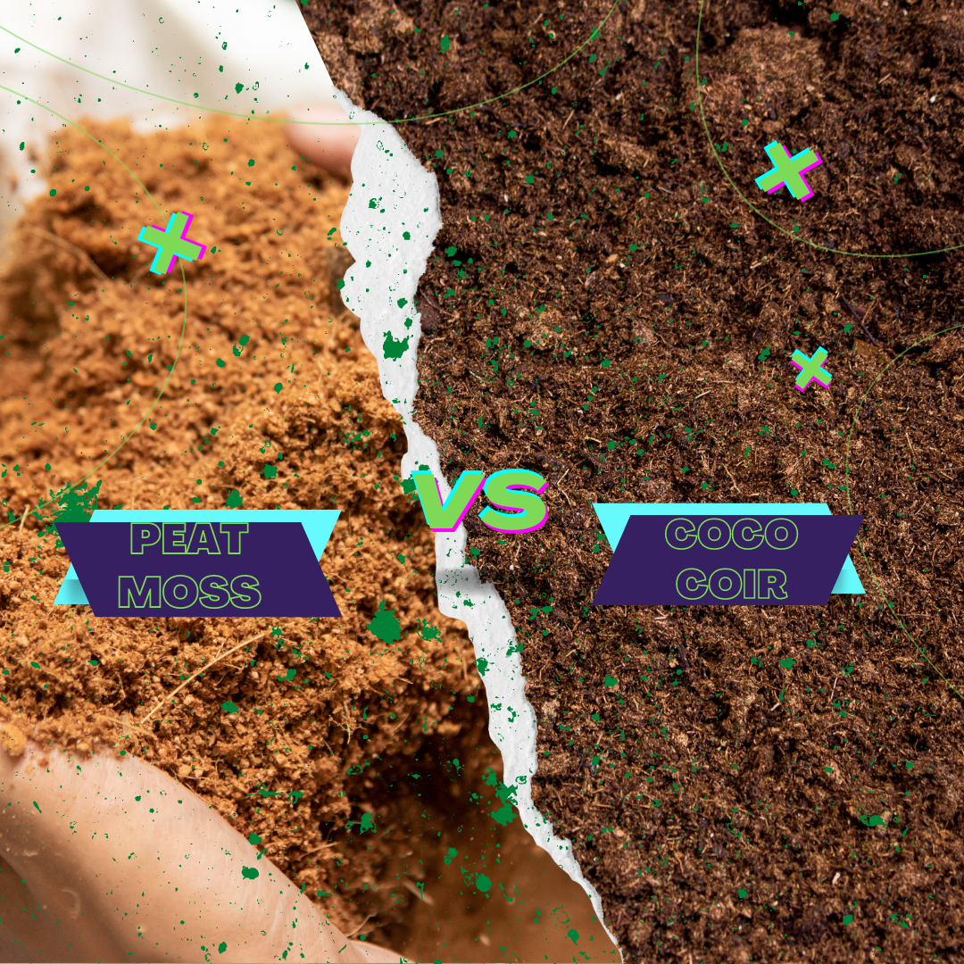 Peat Moss vs. Coco Coir - The Difference Between Peat & Coir
