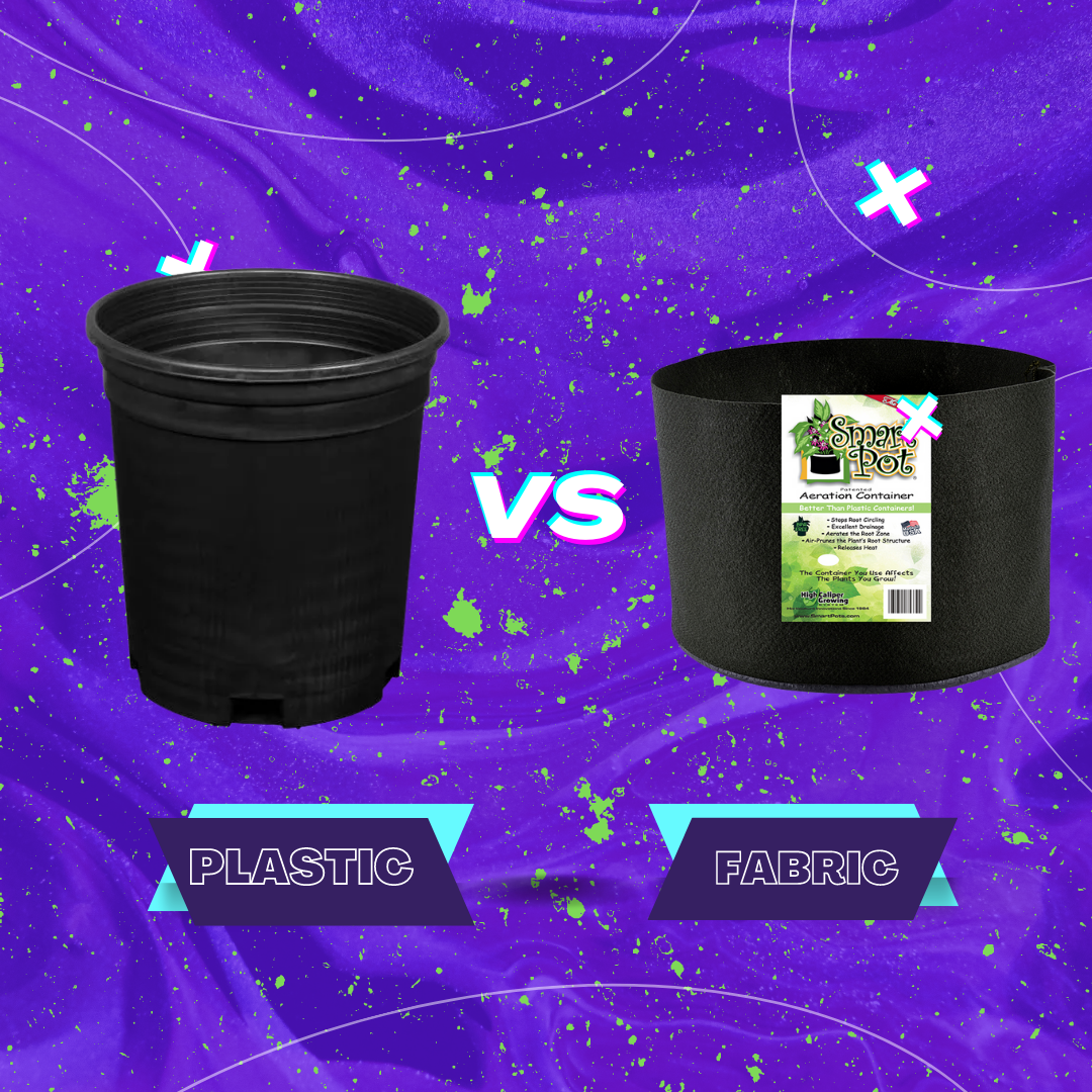 Fabric pots pros and cons: drainage, aeration, roots & more.