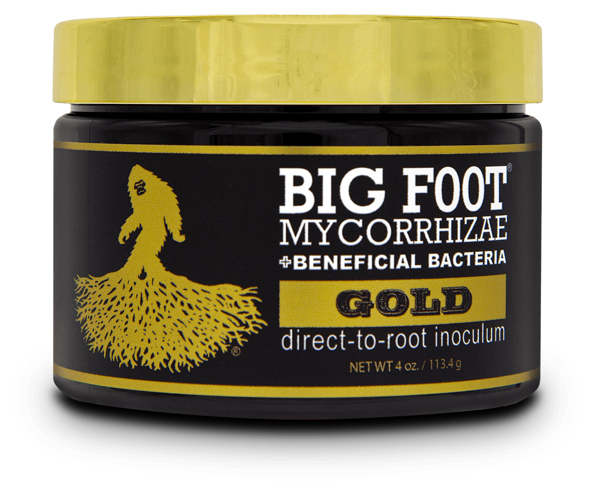 BIG FOOT GOLD (4 oz.)
