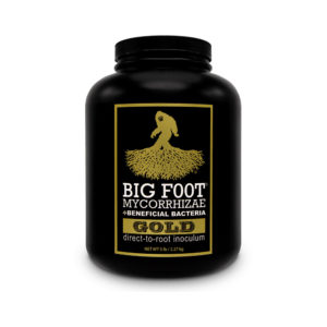 BIG FOOT GOLD (5 lb)