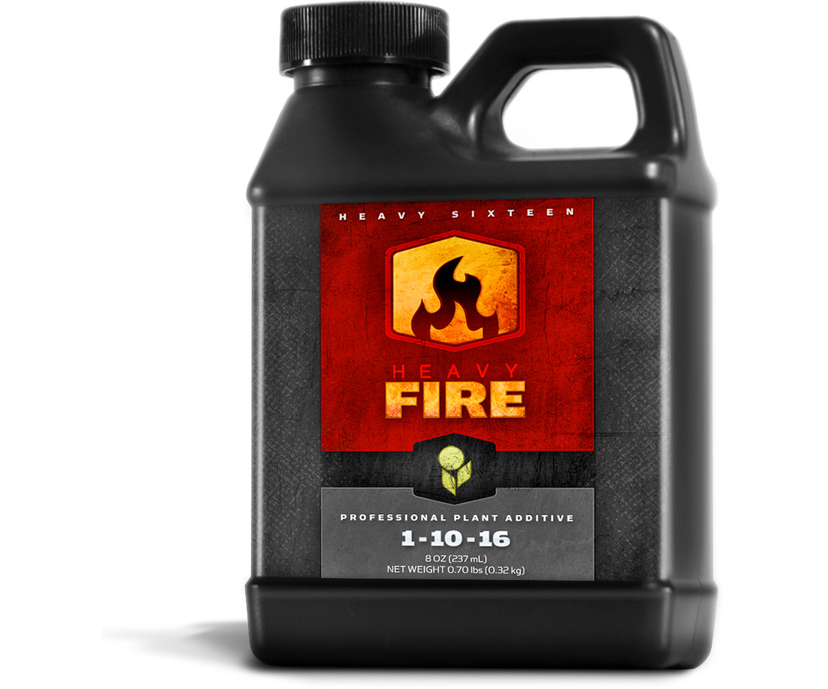 HEAVY 16 Fire, 16 oz (OR Only)