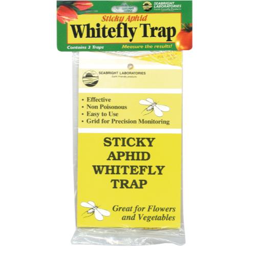 Sticky Aphid Whitefly Trap 3/Pack