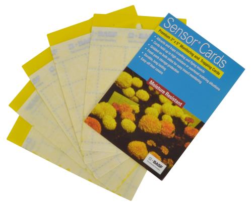 Sensor Cards Yellow Monitoring and Trapping Cards 50/Pack