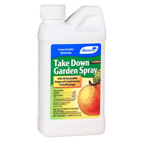 Take Down Garden Spray Pint