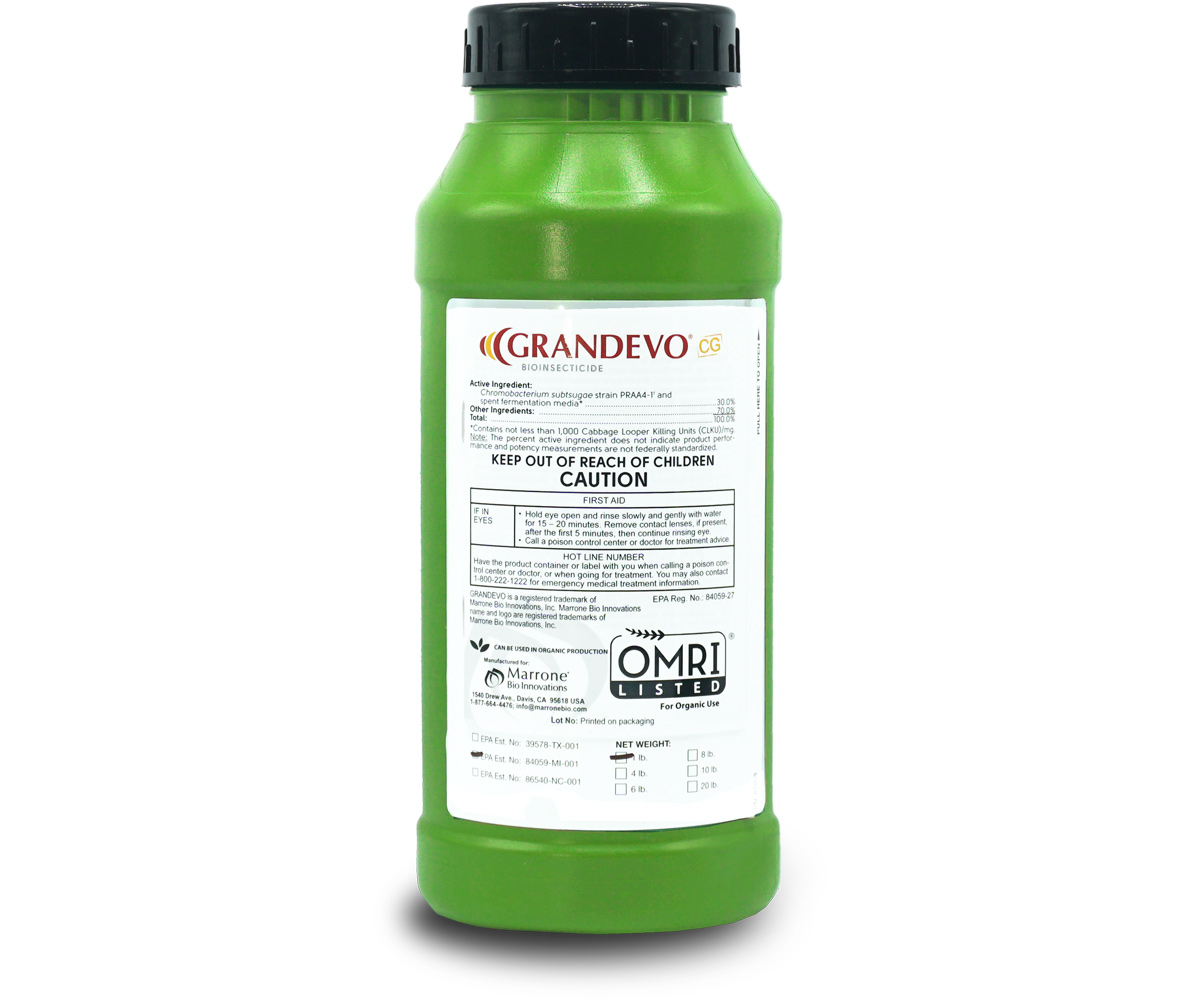 Marrone Bio Grandevo CG® Bioinsecticide, 1 lb