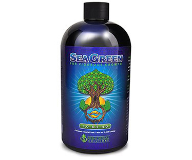 Primordial Solutions Sea Green, 16 oz OR ONLY