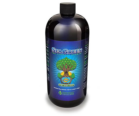 Primordial Solutions Sea Green, 32 oz OR ONLY